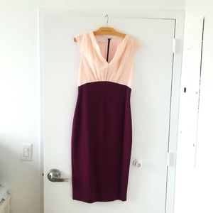 Ted Baker dress size 8 US